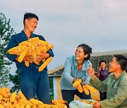 '얼굴마다 웃음꽃'..옥수수 수확한 북한 농장원들