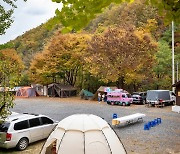가을캠핑 낭만 '안동 낙동강 캠핑축제'로 즐겨요!