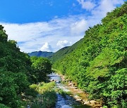 충북도, '2023 국가생태탐방로 조성사업'에 괴산·청주·음성 3곳 선정