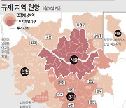 서울-경기 39곳, '15억 초과 주택 담보대출 금지' 규제 그대로