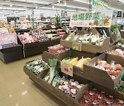 日 농림수산성 "후쿠시마산 식품 안전..수입 규제 철폐해야"