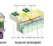 [테크코리아 미래기술 40] 소형모듈원자로(SMR)