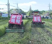 "쌀값 보장하라"..추수 앞둔 논 갈아 엎은 성난 농심