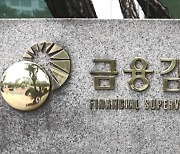 금감원, '5조 6천억 원' 태양광 대출 부실 점검 착수