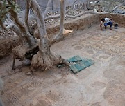 "나무가 왜 죽지"..땅 파던 농부, 1000년전 유물 발견