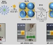 와인 떫은맛 성분 '타닌'으로 생체친화적 접착제 제조