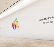 [현장에서]'애플스토어'만 늘리면 다인가요?..씁쓸한 韓소비자들