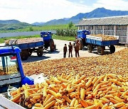 옥수수 수확 중인 북한.."가을 영농사업 힘있게"