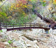내장산국립공원, 가을 성수기 갓바위 일원 탐방 예약제 운영