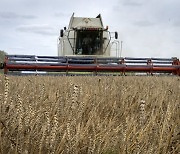 우크라이나 전쟁·고온·가뭄으로 유럽 빵값 18% 폭등