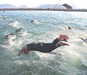 19년 수영꾼도 마산만에 푹 빠졌다..죽은 바다의 완벽 부활