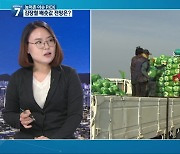 [농어촌 이슈 PICK] 김장철 배춧값 전망은?..전남 농수산물 수출 증가