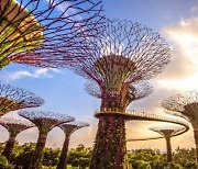 방콕·파리·다낭 전부 제치고 해외여행 수요 증가 '1위' 한 곳은 싱가포르