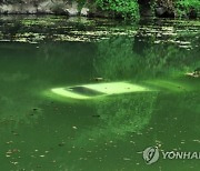 "후진기어 넣고 가속페달" 익사위기 운전자 구한 용감한 시민