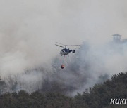 홍천 두촌면 야산서 불.. 산림 0.12㏊ 소실