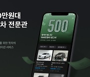 "500만원대 전문관"..카플레이션 맞아 '중고차' 호황