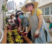 "꽃과 채소로 단장한 골목정원, 소통·나눔 공간으로"