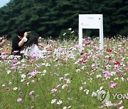 가을로 가는 '추분'..내일 아침 중부지방 비 약간