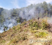 홍천 두촌면 산불 2시간 만에 진화..산림 1천200㎡ 소실