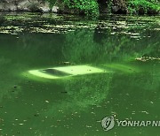 '후진기어 넣고 가속페달'..물에 빠진 운전자 구한 대전시민