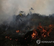 Brazil Amazon Fires