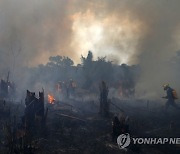 Brazil Amazon Fires