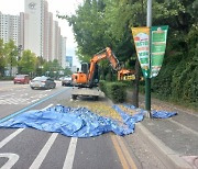 인천 남동구, 은행나무 열매 수확 작업으로 악취 민원 사전 해소