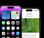애플, '아이폰14' 내달 7일 한국 출시..30일부터 주문 가능