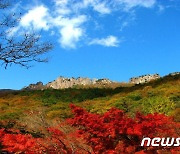 내장산 서래봉~벽련암 2.8km구간 예약탐방제..10월1일부터