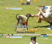 위너 이승훈 반려견, 예린에 개인기 대방출..'인싸견' 등극