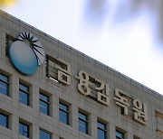 금감원, 3조 규모 '태양광 사모펀드' 부실 전수조사 나선다