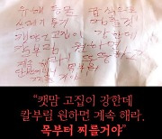 수개월간 캣맘 '살해 협박', 20대男..이례적 징역형
