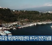 서귀포항 해양레저체험센터 부지서 천연기념물 발견