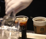 Ban on single use cups to go on trial run from December
