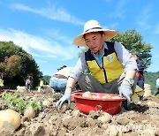 강원도, 농촌 수확기 '1+1 손돕기' 추진