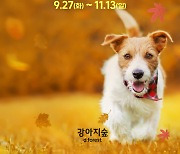 강아지숲 '도그페스타' 등 풍성한 가을 축제 진행