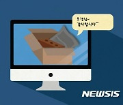 전북 5년간 온라인 직거래 사기 1만 2336건..검거율 85.75%