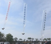 정부, 대북전단 자제 요청.."살포 강행시 수사 계획"