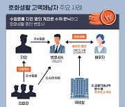 호화생활 고액체납자 주요사례[그래픽뉴스]