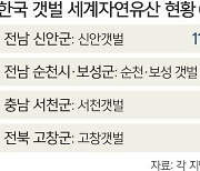 신안·서천·고창 '갯벌 세계유산본부' 유치 사활