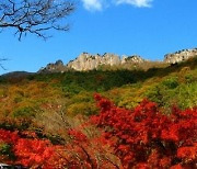 정읍 내장산 2.8km 구간 '탐방로 예약제' 시행