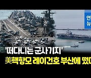 [영상] 美핵항모 레이건호 부산 입항..'떠다니는 군사기지'