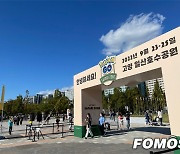 "국내 첫 '사파리 존 고양' 개최..세대 허문 '포켓몬 고' 인기 실감"
