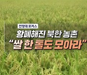 황폐해진 북한 농촌 "쌀 한 톨도 모아라"