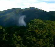 강원 원주 치악산 국립공원서 산불..2시간여 만에 진화