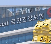 '이번엔 건강보험공단'..역대 최대 46억 원 횡령·해외 도피