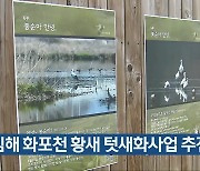 김해 화포천 황새 텃새화사업 추진