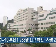코로나19 부산 1,258명 신규 확진..사망 2명
