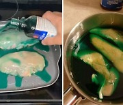 틱톡에서 유행한 '초록색 치킨'.."만들기만해도 폐손상"