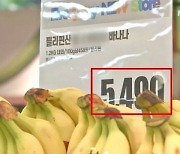 바나나 10% '껑충'..고환율에 수입 과일 값 오른다